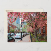 Kersenbloesems in het Boston Massachusetts Briefka Feestdagenkaart (Voorkant / Achterkant)