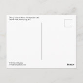 Kersenbloesems in Lincoln Park Briefkaart (Achterkant)