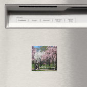 Kersenbloesems in Philadelphia Magnet (Insitu (Vaatwasser))