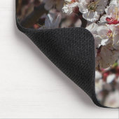 Kersenbloesems in Prescott, Arizona Muismat (Hoek)