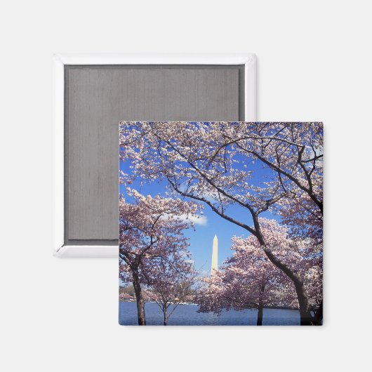 Kersenbloesems in Washington DC koelkastmagneet Magneet (Voorkant / Achterkant)