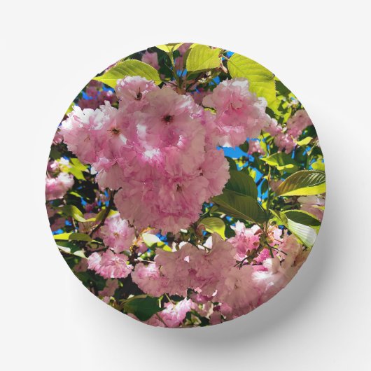 Kersenbloesems kom, 7" papieren kom (Voorkant)