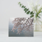 kersenbloesems over het bekken van de getijdenzee briefkaart (Staand voorkant)