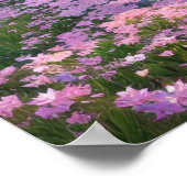 Kersenbloesems, roze bloemen en een zachte stroom poster (Hoek)