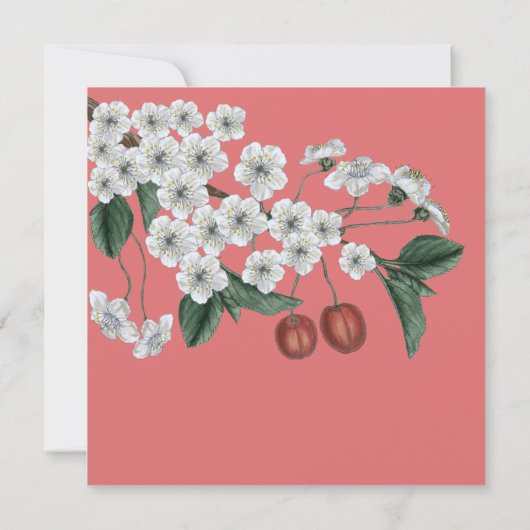 Kersenbloesems Tak Save the Date Kaart (Achterkant)