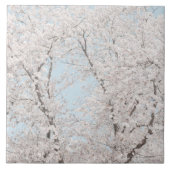 kersenbloesems tegeltje (Voorkant)