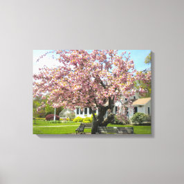 Kersenbloesems verpakt canvas afdruk