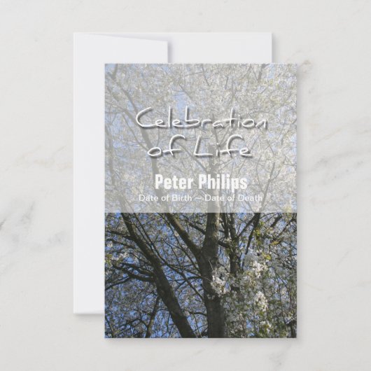 Kersenbloesems Viering van het Leven Uitnodiging (Voorkant)