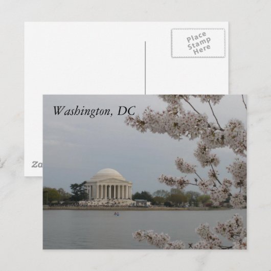 Kersenbloesems: Washington, D.C. Briefkaart (Voorkant / Achterkant)