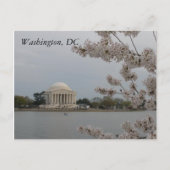 Kersenbloesems: Washington, D.C. Briefkaart (Voorkant)