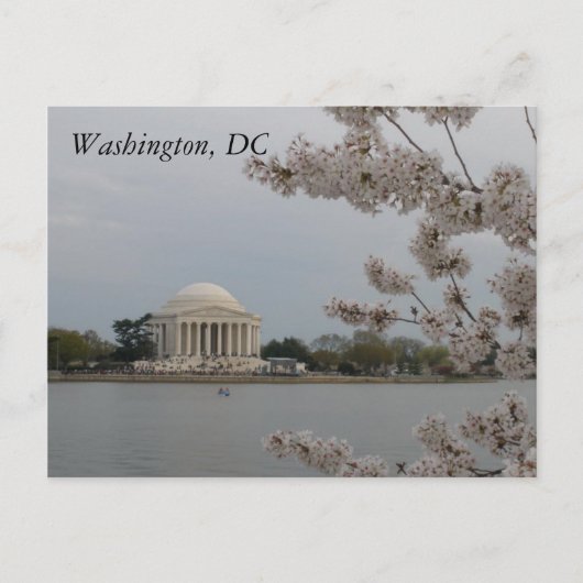 Kersenbloesems: Washington, D.C. Briefkaart (Voorkant)
