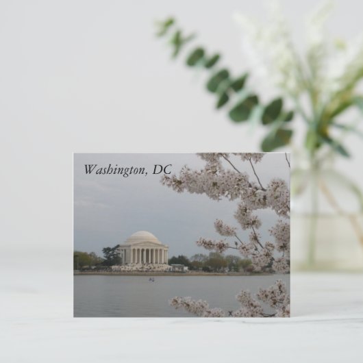 Kersenbloesems: Washington, D.C. Briefkaart (Staand voorkant)