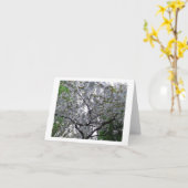 Kersenboom Floral Flower Birthday Greetings Kaart (Gele Bloem)