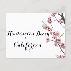 Kersenboom in bloei Huntington Beach, Californië Briefkaart