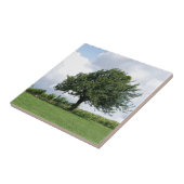 Kersenboom in de zomer tegeltje (Zijkant)