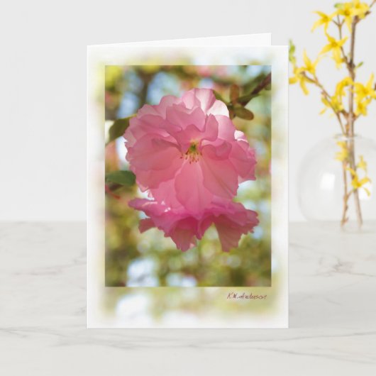 Kersenboom (Kwanzan) Kaart (Gele Bloem)