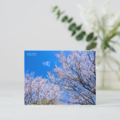 Kersene pruim [Ansichtkaart] Briefkaart (Staand voorkant)