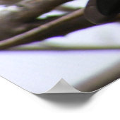 Kersenkast 1 poster (Hoek)