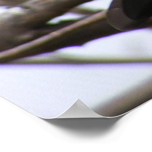 Kersenkast 1 poster (Hoek)