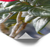 Kersenrode Camellia Bloem en Knop Poster (Hoek)
