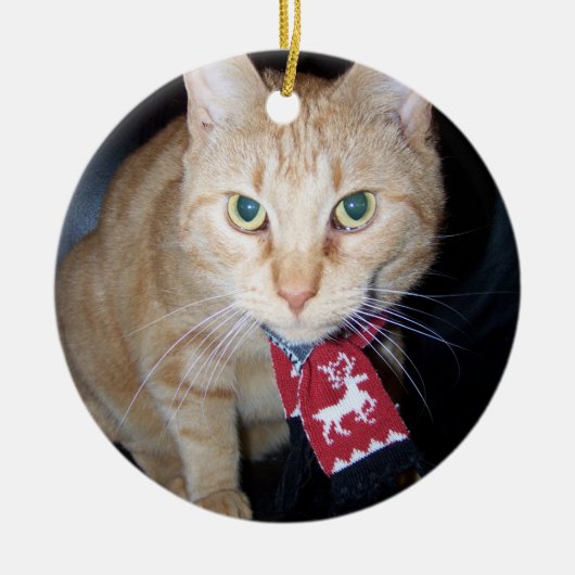 Kerst 2025 Oranje kat met sjaal Ornament (Voorkant)