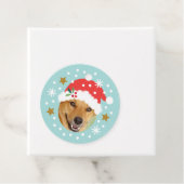 Kerst Aangepaste Foto Naam Funny Santa Blue Gift Bedankjes Labels (In situ)