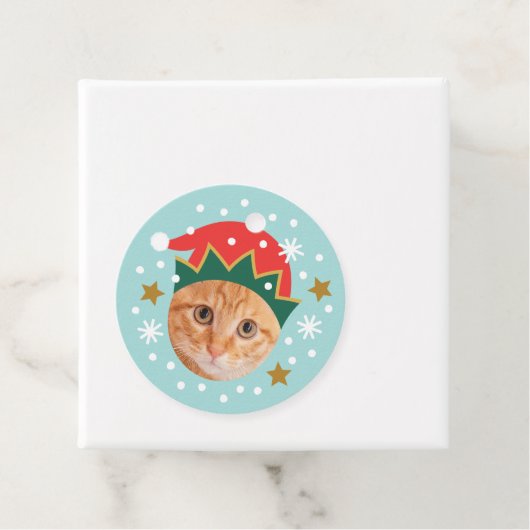 Kerst Aangepaste Fotonaam Grappig Elf Blauw Gift Bedankjes Labels (In situ)