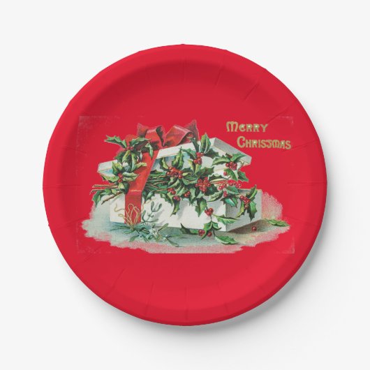 Kerst aanwezig en Holly Party Papieren Bordje (Voorkant)