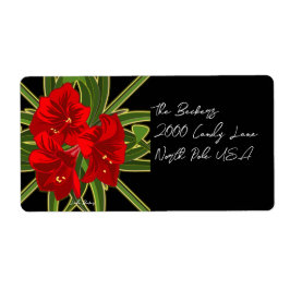 Kerst Amaryllis Tuin Levendig Etiket
