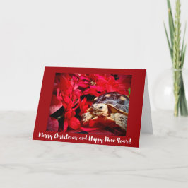 Kerst Baby Sulcata Schildpad en rode poinsettia's Kaart