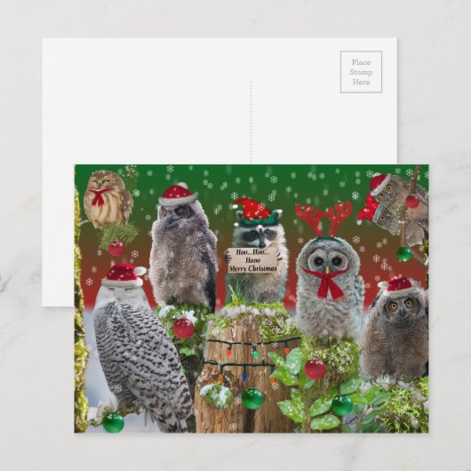 Kerst beestjes uilen en wasbeer feestdagenkaart (Voorkant / Achterkant)