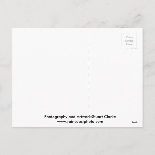 Kerst beestjes uilen en wasbeer feestdagenkaart (Achterkant)