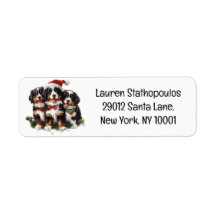 Kerst Berner Sennenhonden