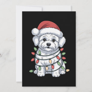 Kerst Bichon Frise Hond Sinterklaas Hoed Kerstlich Kaart