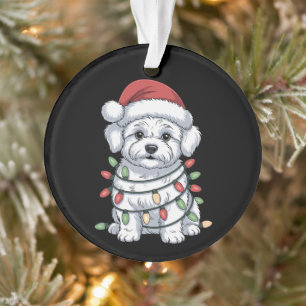 Kerst Bichon Frise Hond Sinterklaas Hoed Kerstlich Ornament
