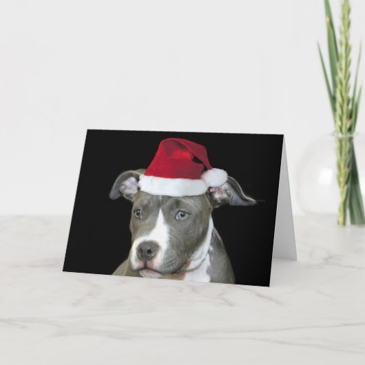 Kerst blauw pitbull puppy wenskaart feestdagen kaart (Voorkant)