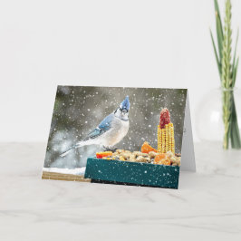 Kerst Blauwe Gaai Kerstkaart Feestdagen Kaart