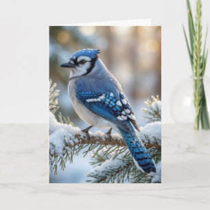 Kerst Blauwe Gaai Op Een Besneeuwde Den Kaart