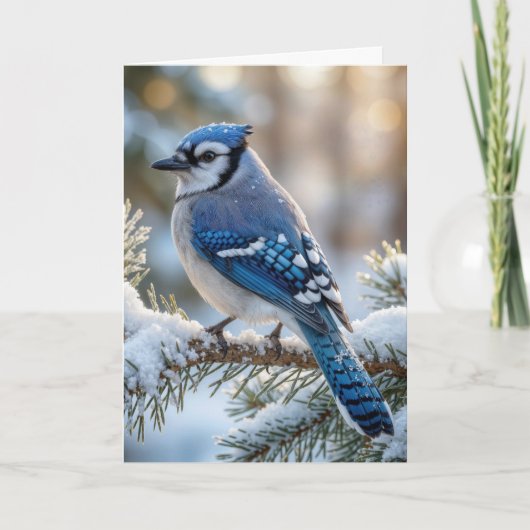Kerst Blauwe Gaai Op Een Besneeuwde Den Kaart (Voorkant)