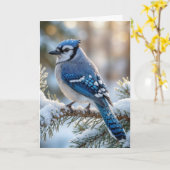 Kerst Blauwe Gaai Op Een Besneeuwde Den Kaart (Gele Bloem)