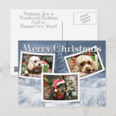 Kerst - Border Collie - Cockapoo Feestdagenkaart (Voorkant / Achterkant)