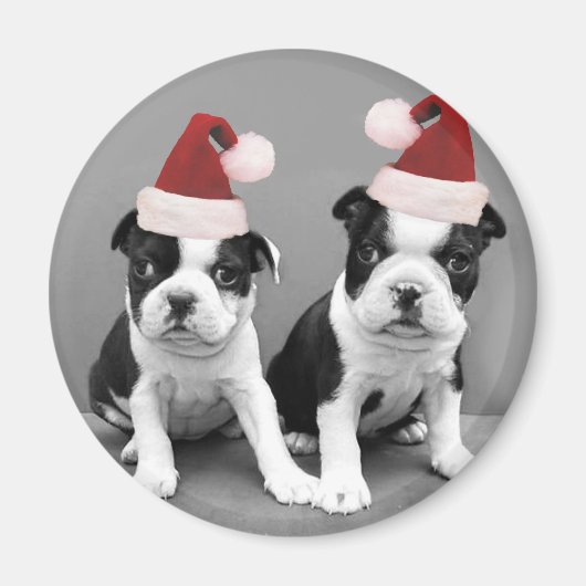 Kerst Boston Terriers Magneet (Voorkant)