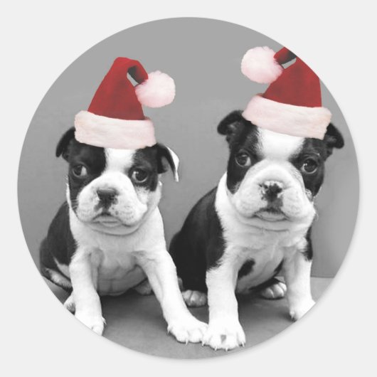 Kerst Boston Terriers Ronde Sticker (Voorkant)