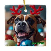 Kerst Boxer Dog