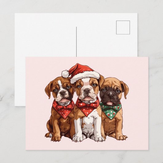 Kerst Boxer Dogs Briefkaart (Voorkant / Achterkant)