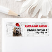 Kerst Briard Shepherd Hond Vakantieadres Etiket (Insitu)
