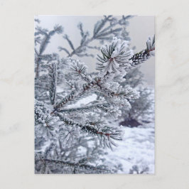 Kerst Briefkaart, kerstboom onder de sneeuw Briefkaart