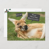 Kerst briefkaart uit Australië; kangoeroe (Voorkant / Achterkant)