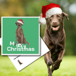 Kerst Bruin Labrador Hond Groen Vrolijk Groet
