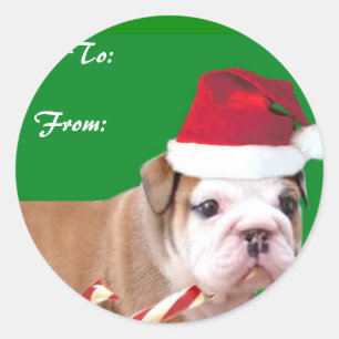 Kerst bulldog puppy cadeau labels